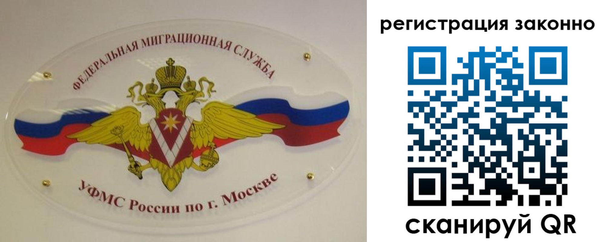 прописка для школы в Александровске